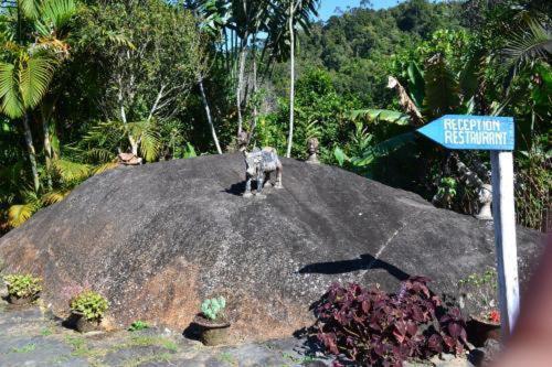 Foret Austral Ranomafana Luaran gambar